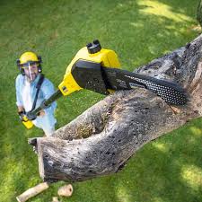 Best Leaf Removal  in East Quincy, CA